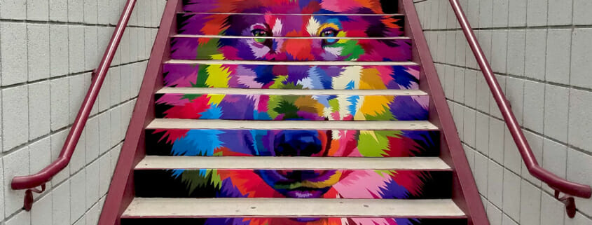 Color printed staircase graphics for Alumigraphics Private School