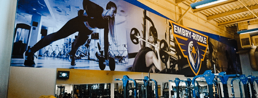school vinyl wall graphics printed for sports gym