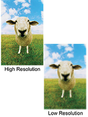 2 images of a sheep to illustrate the difference between low and high resolution images.