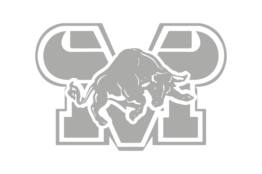 Grey Mountain View sports logo.